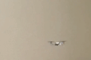 Autonomous flip